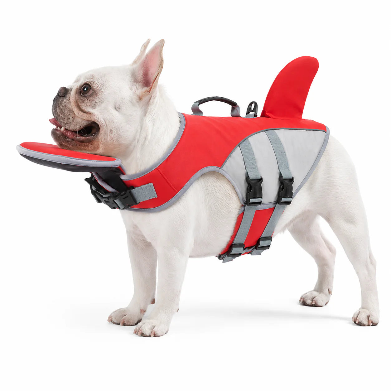 Whiskery Pup Life Jacket